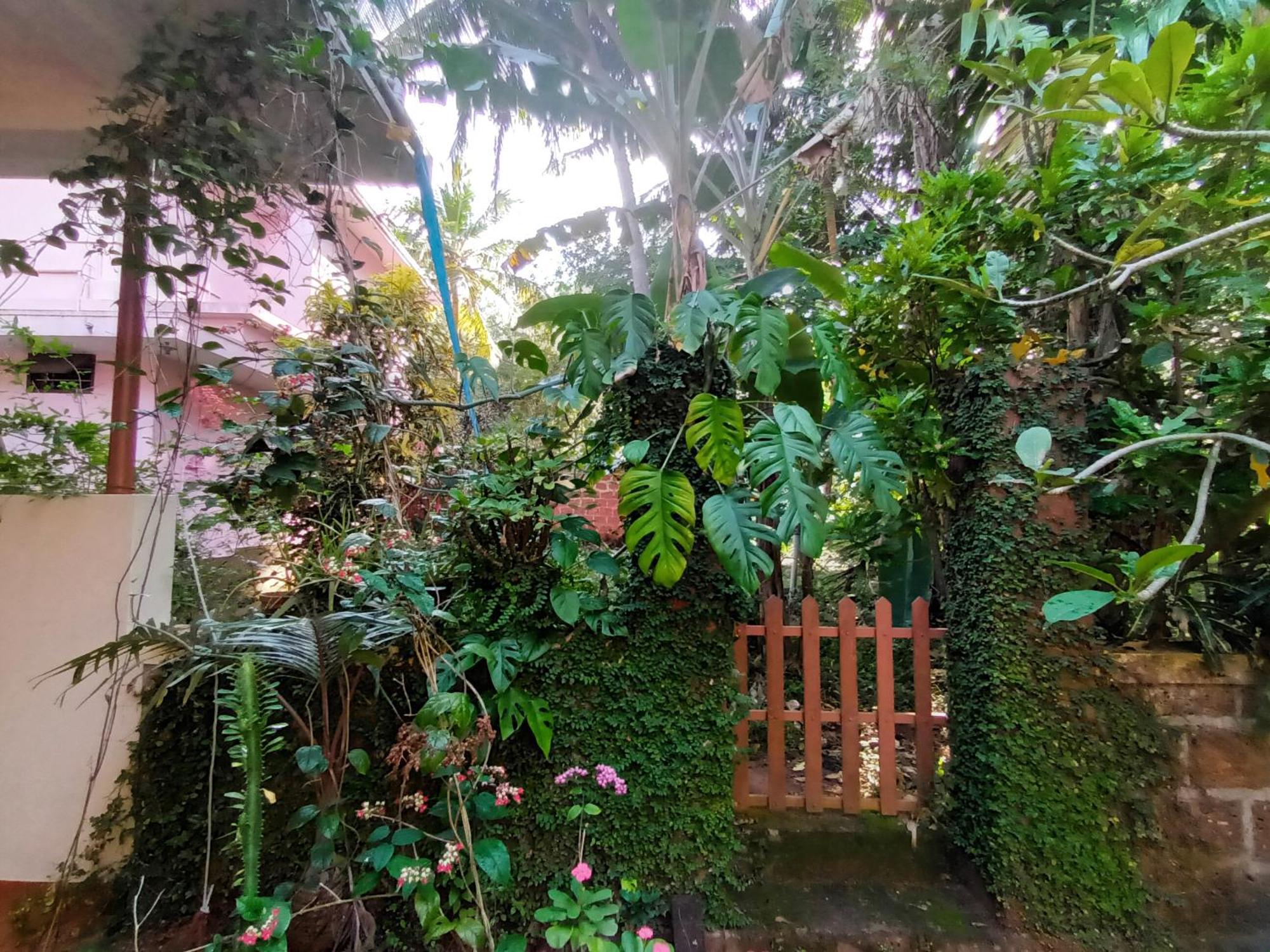 Hotel Ivory Coaste à Kannur Extérieur photo