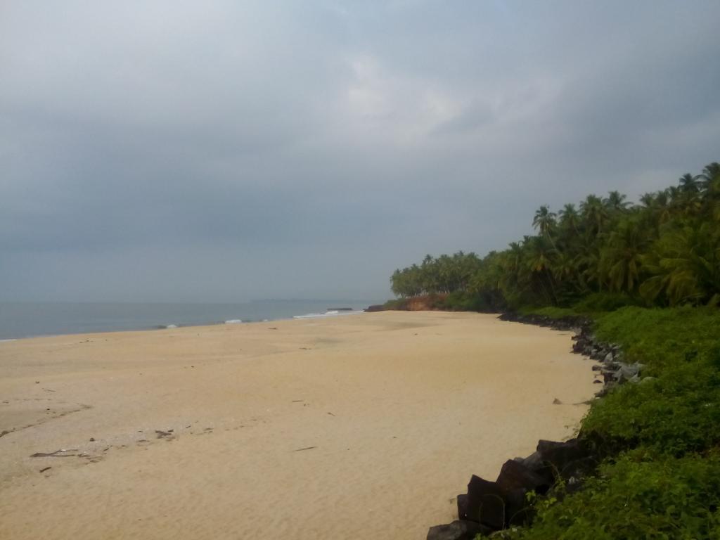 Hotel Ivory Coaste à Kannur Extérieur photo