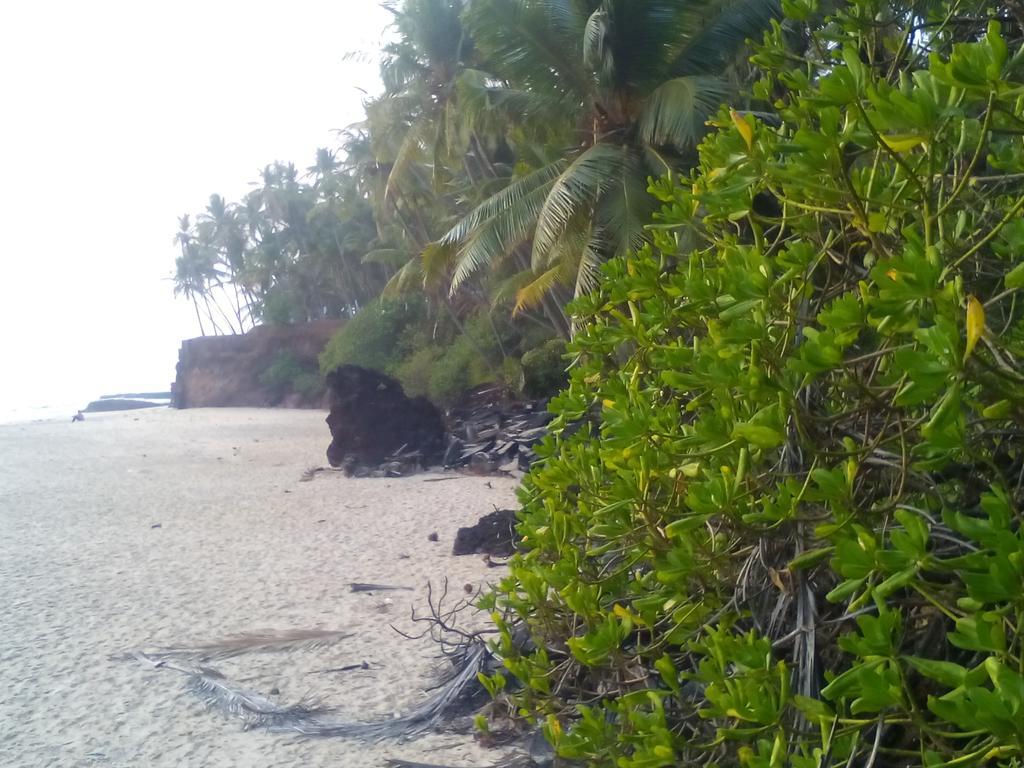 Hotel Ivory Coaste à Kannur Extérieur photo